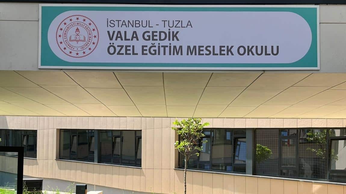 Vala Gedik Özel Eğitim Meslek Okulu Fotoğrafı